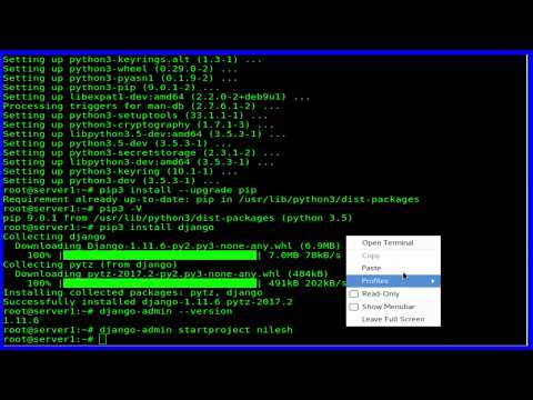 How To Install Django Web Framework on Debian 9.1 stretch