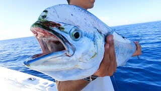 Weed Line Dolphin (Mahi Mahi) Fishing Tips in the Florida Keys