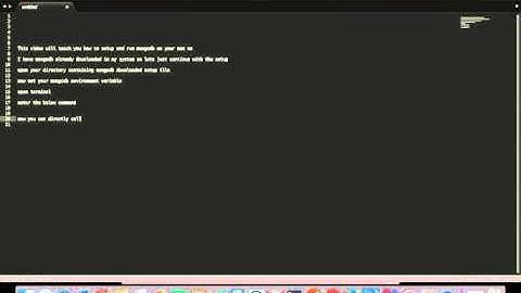 How to setup and run mongodb on MAC OS