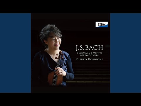 無伴奏ヴァイオリン・パルティータ 第 2番 ニ短調, BWV 1004: 3. Sarabanda