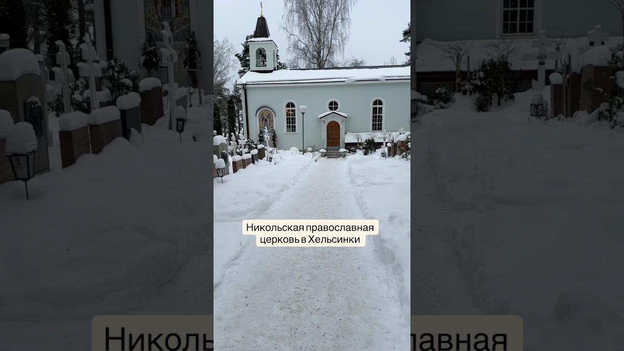 Доброе воскресное утро ❄️Американская Акита Молли, домашняя жизнь 