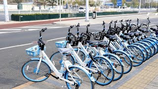 What role does SHARED MOBILITY play in China's transportation？