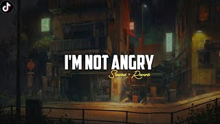 Dj I'm Not Angry || Slowed+reverb 🎶🎧