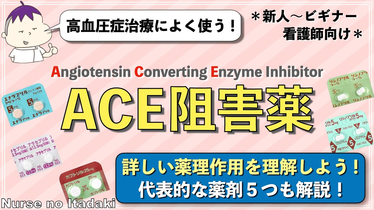 【ACE阻害薬を理解しよう！】薬理作用についてわかりやすく解説！代表薬5つもしっかり学んどこう！