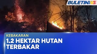 KEBAKARAN | 1.2 Hektar Hutan Di Taman Seri Timah Balakong Terbakar