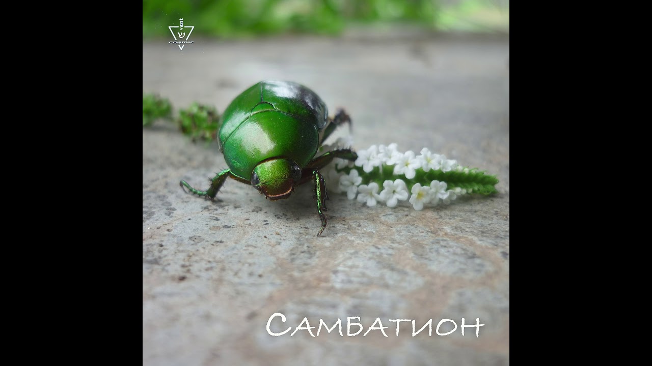 ДОРОЖНАЯ / DOROZHNAIA (Ben-Canar)