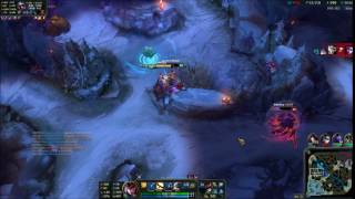 Quinn Bug