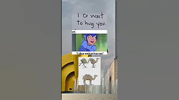 It All Makes Sense Now Shorts 
