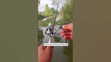 Cần Cau Bút #cauca #fishing