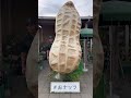 この後道の駅を出禁になる#イチロー 気取りの会社の先輩 #shorts #ナッツ #おナッツ #木更津 #千葉県