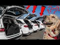 Which SUV is Best For Dog Owners? (MB)