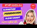 How to Draw a Flowchart? 🤔 | Algorithm &amp; Pseudocode Explained for Beginners (Amharic)
