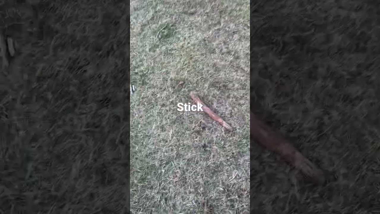 STICK LAND