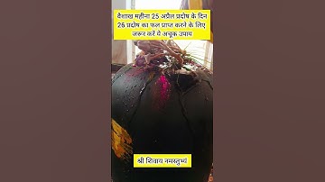 वैशाख महीना 25 अप्रैल प्रदोष के दिन 26 प्रदोष का फल प्राप्त करने का उपाय #pradeepmishra #upay #shiv