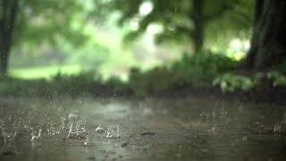 Rain video for editing - فيديو مطر روعة لل مونتاج