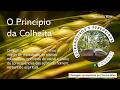 Estrangeiros e Peregrinos - Episódio 824: O Princípio da Colheita