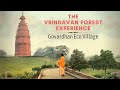 A day in vrindavan forest  govardhan eco village 