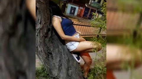 nella- kharisma .ada gajah di balik batu..