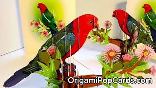 Australian King Parrot Bird 3D Pop Up Greeting Card - Shop Online Origamipopcards
