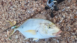 How to catch Trevally from the Shore - Land Based Fishing in North Australia