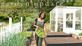Raised bed garden update + a leafy green harvest screenshot 3