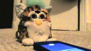 Furby baby vs. Siri