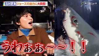 北村匠海、ジョーズの迫力に大興奮！サメ映画マニアな一面も覗かす　『ユニバーサル・クリスマス・ジョイ』オープニング・セレモニー