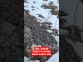 KRAL MEZARI GİRİŞ VE HAZİNE ODASI NOKTA ATIŞ