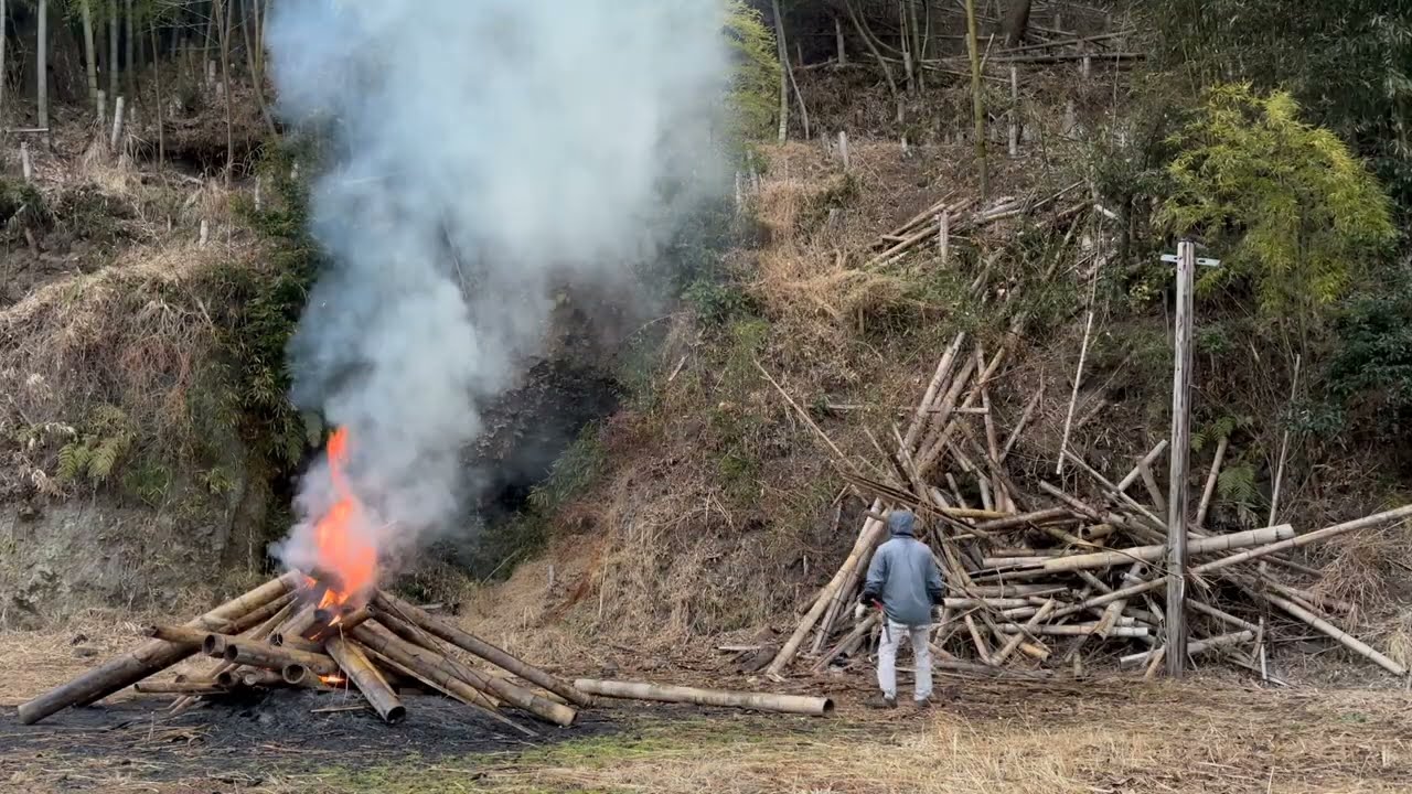 荒廃した孟宗竹林の整備と野焼き〜去年の分が片付きました2026/02/10−01