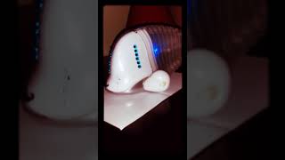 iFISH Singing prt 1