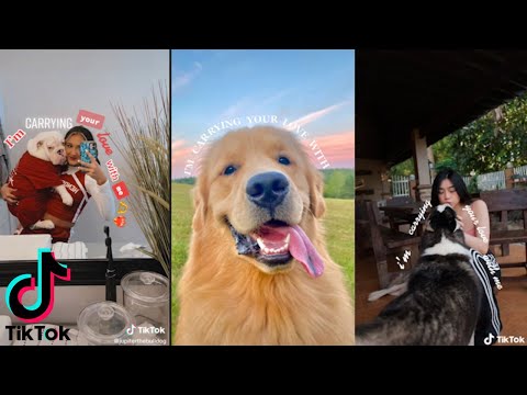 Carrying Your Love with Me 💖 | TIKTOK COMPILATION