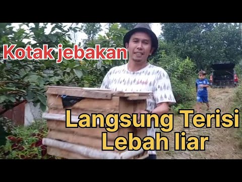 Video: Program untuk menghasilkan uang di Internet. Cara bekerja online