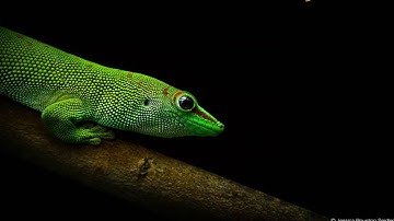 Sửa chữa điện nước tại quận gò vấp