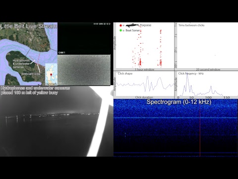SEICHE WATER TECHNOLOGY GROUP LTD Live Stream