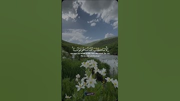 سورة التوبة ♥️ | الآية 51