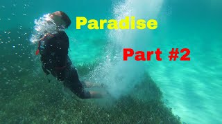 Back To Paradise Life / Sea-Doo Rxt x 300 Back To Paradise Life / Sea-Doo Rxt x 300