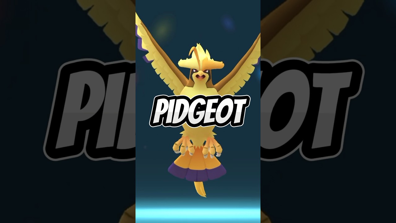MEGA PIDGEOT Best Raid Counters In Pok&eacute;mon GO! #pokemongo
