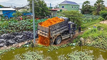 First Start New Project Landfill Flooded area ! Dump Truck Unloading soil with Komat