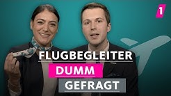 Sind Flugbegleiter nur Kellner? | 1LIVE Dumm Gefragt