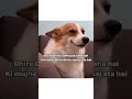 #tweetreels #brokenheart #sadstatus #sad #lofimusic #lofichill #aesthetics #thouths #memes #cat