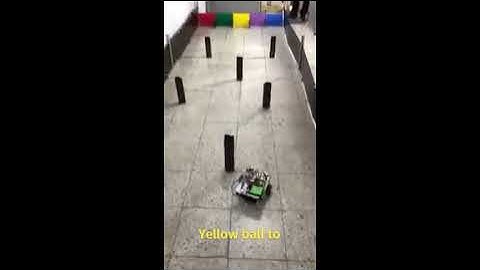 Self Driving Car Project with Image Processing