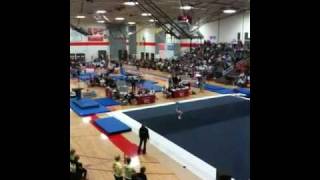 2010 WIAA State Gymnastics Meet