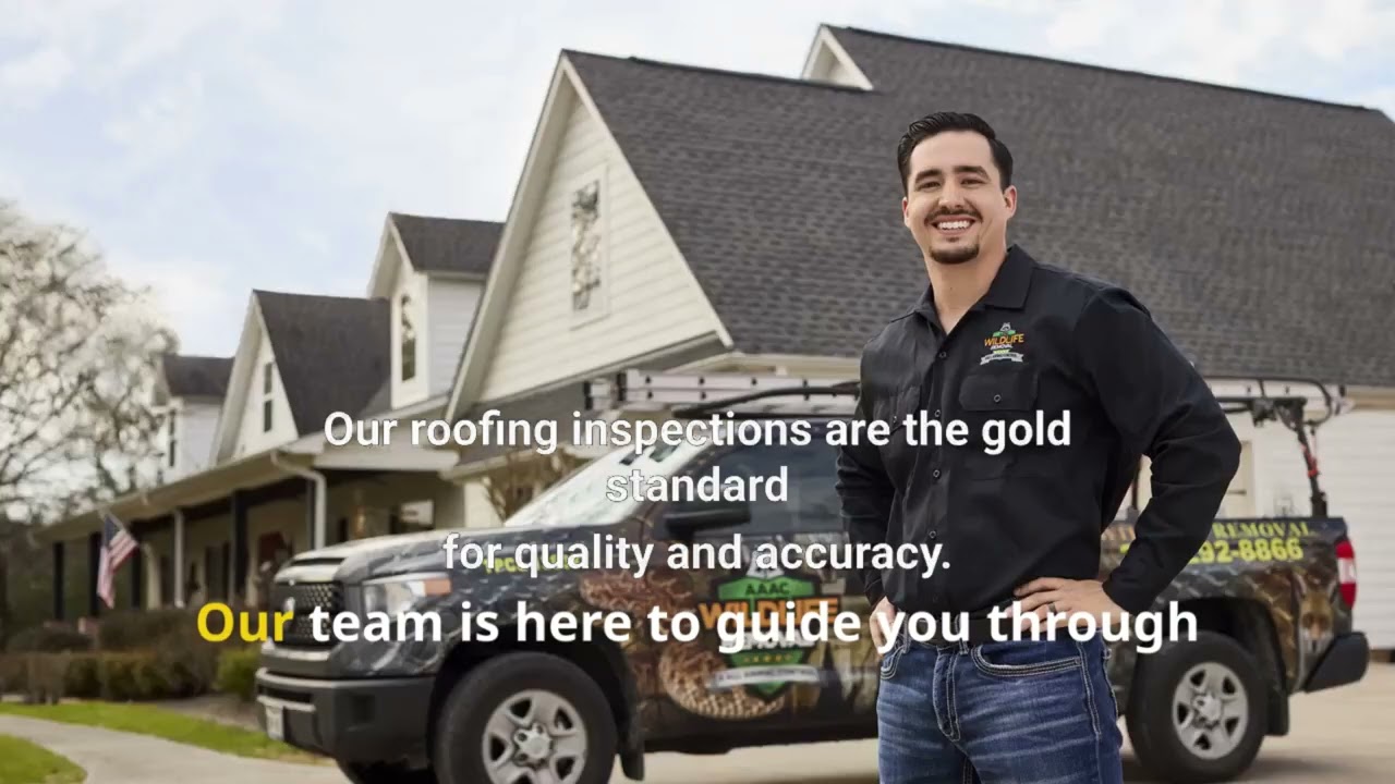 Squirrel Removal Near Me Richardson