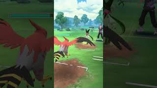 I forgot abt Meowscarada😭 #pvp #gobattleleague #pokemongo #gbl #pokemongopvp #greatleague #pokemon