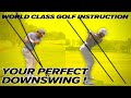 Louis Oosthuizen Golf Swing - Rory Mcllroy, Tommy Fleetwood - Perfect Downswing!