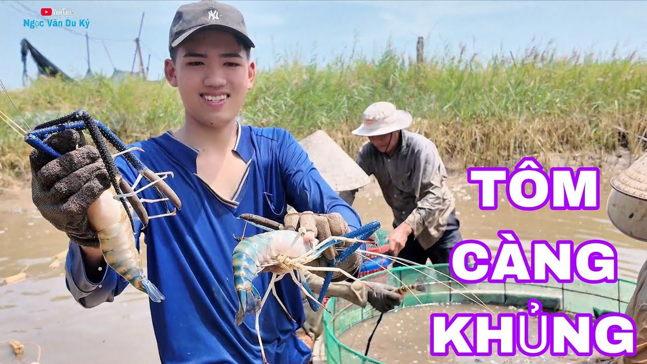 Phát hiện Tôm Càng khủng tại Miền Tây 