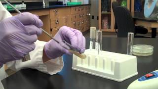 Aseptic Transfer