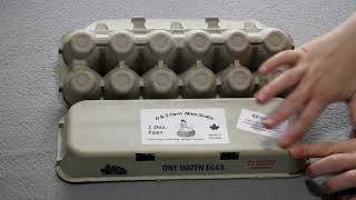 Egg carton label making how we do it