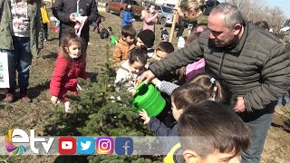 Edi̇rnede 19 Yilda 30 Mi̇lyon Adet Fi̇dan Di̇ki̇ldi̇