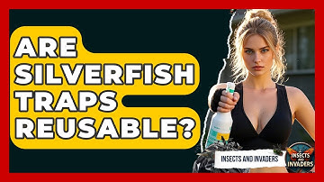 Are Silverfish Traps Reusable? - Insects and Invaders